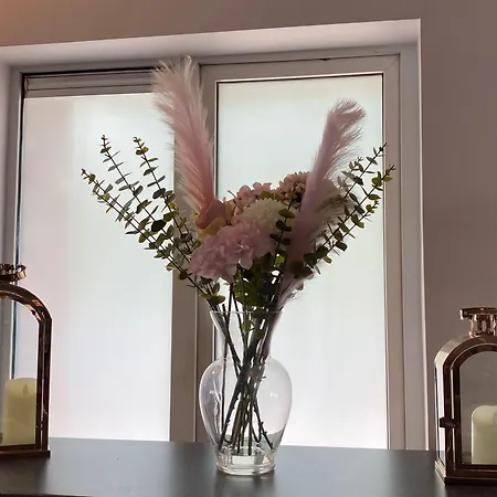 فندق Court كيلارني